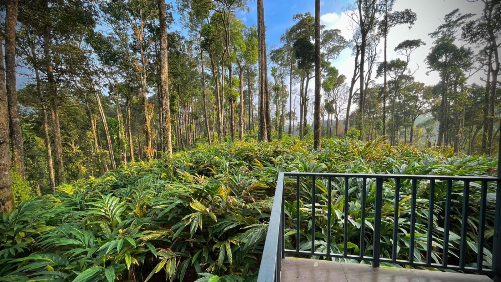 Forestscape Resort Муннар Экстерьер фото