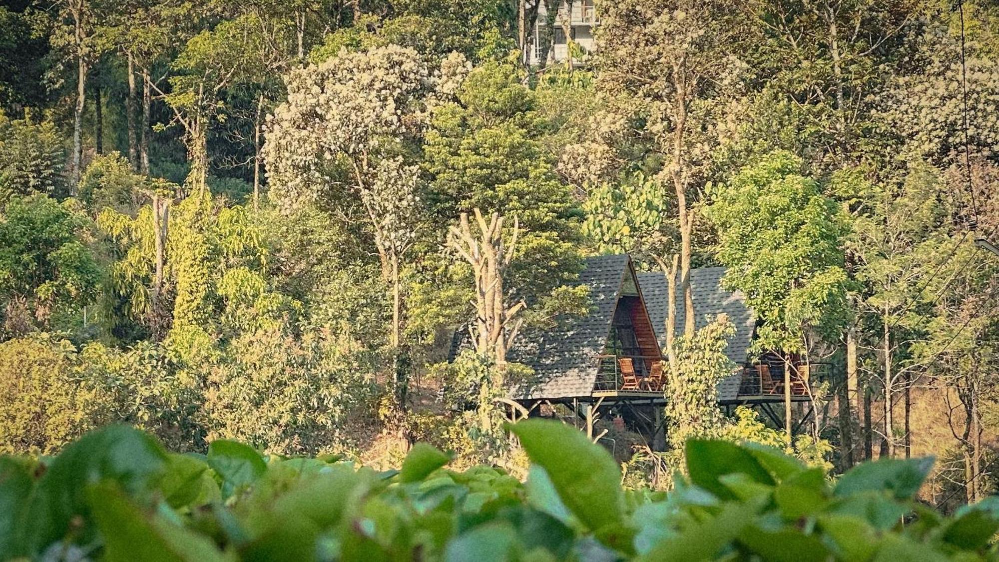 Forestscape Resort Муннар Экстерьер фото