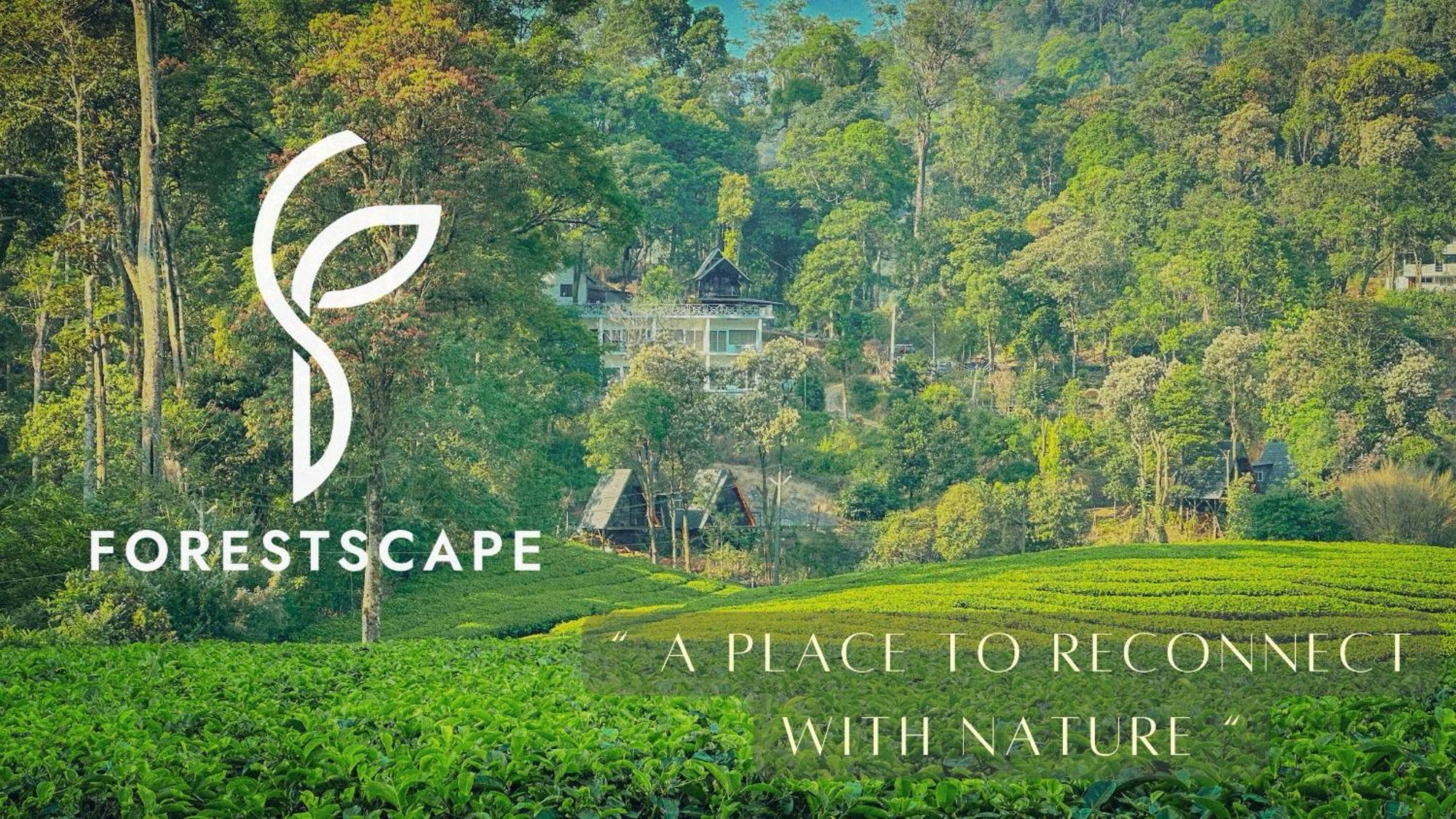 Forestscape Resort Муннар Экстерьер фото